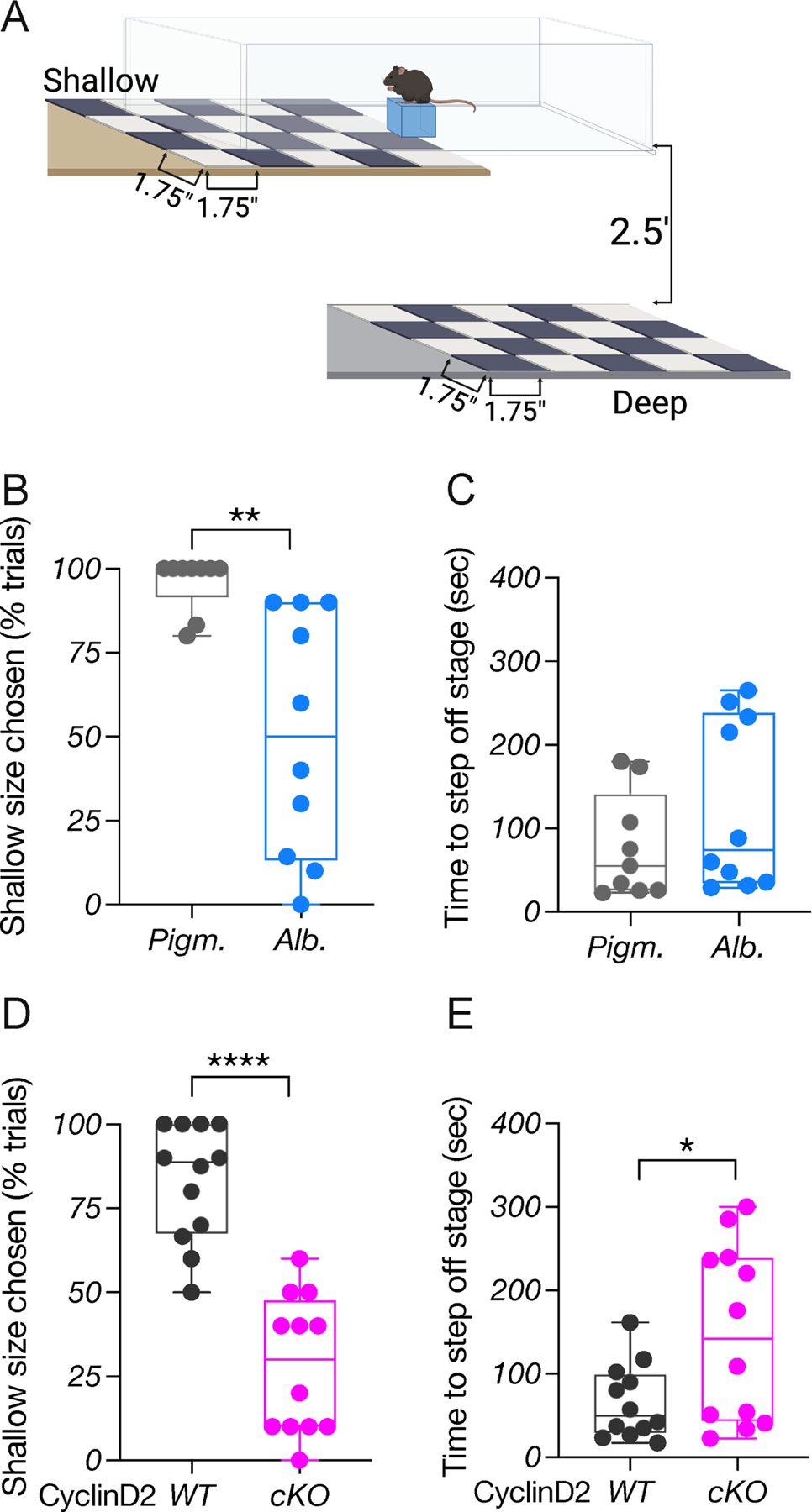 Figure 5: