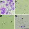 Fig 3