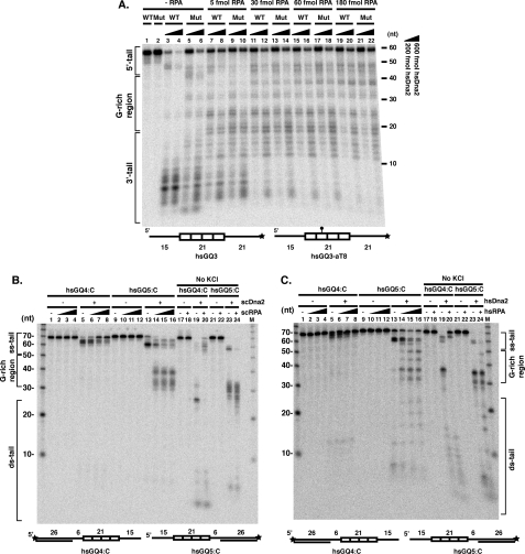 FIGURE 10.