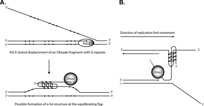 FIGURE 11.