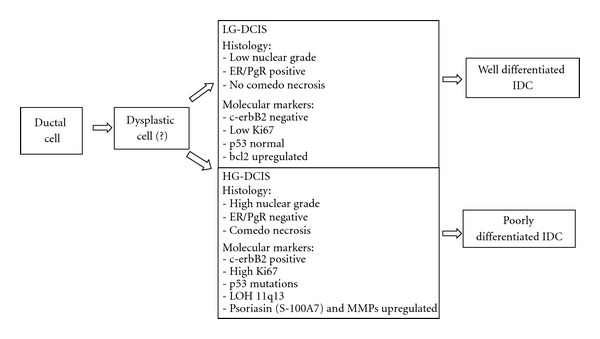 graphic file with name IJSO2012-501904.tab.002.jpg