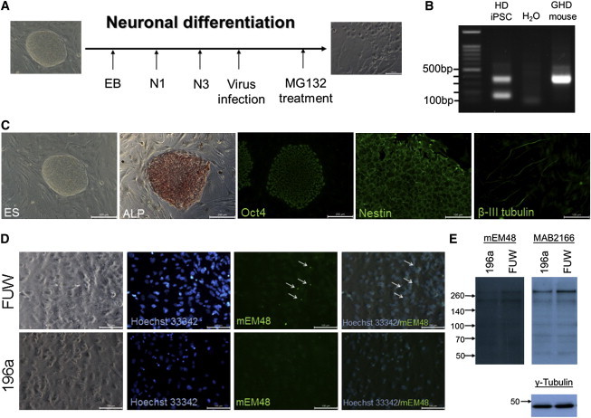 Figure 3