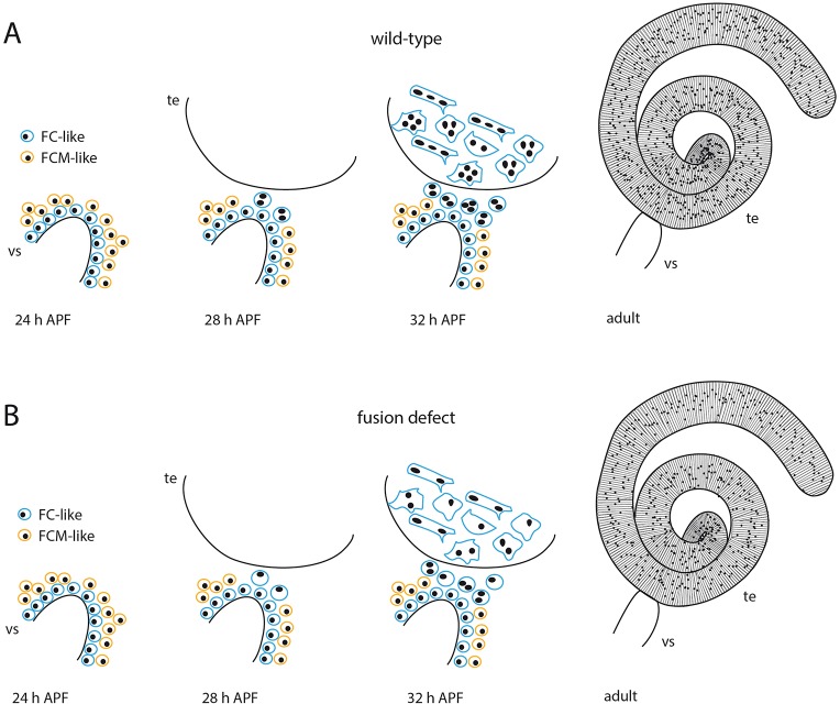 Fig. 8.