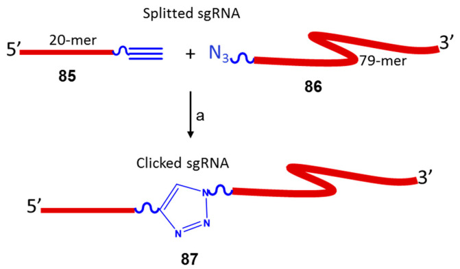 Scheme 21