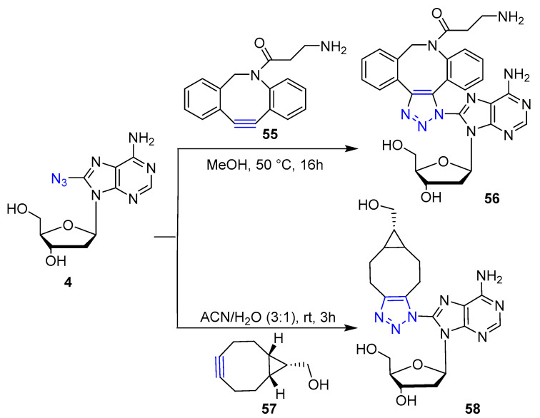 Scheme 12