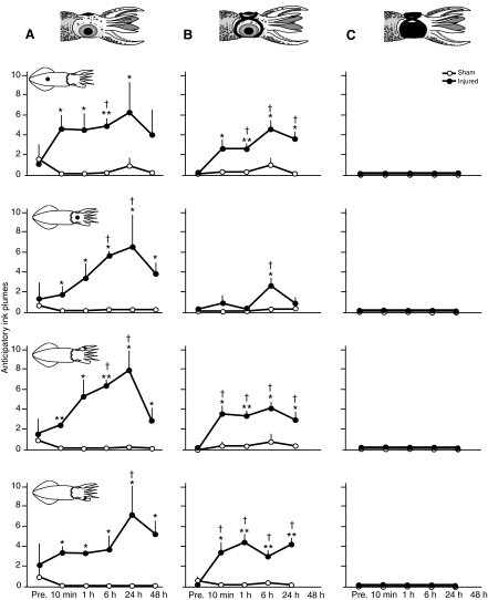 Fig. 5.