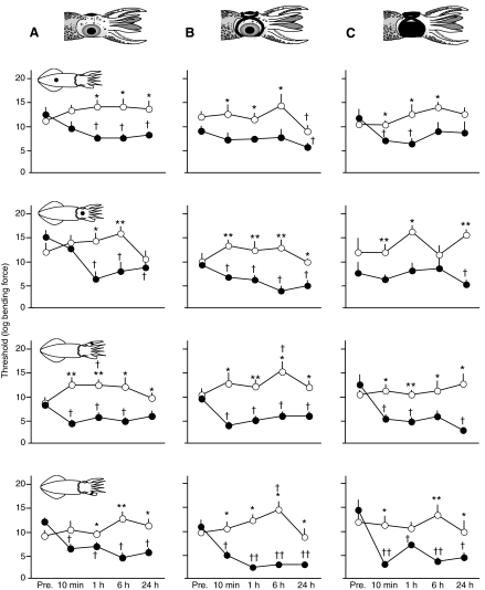 Fig. 8.