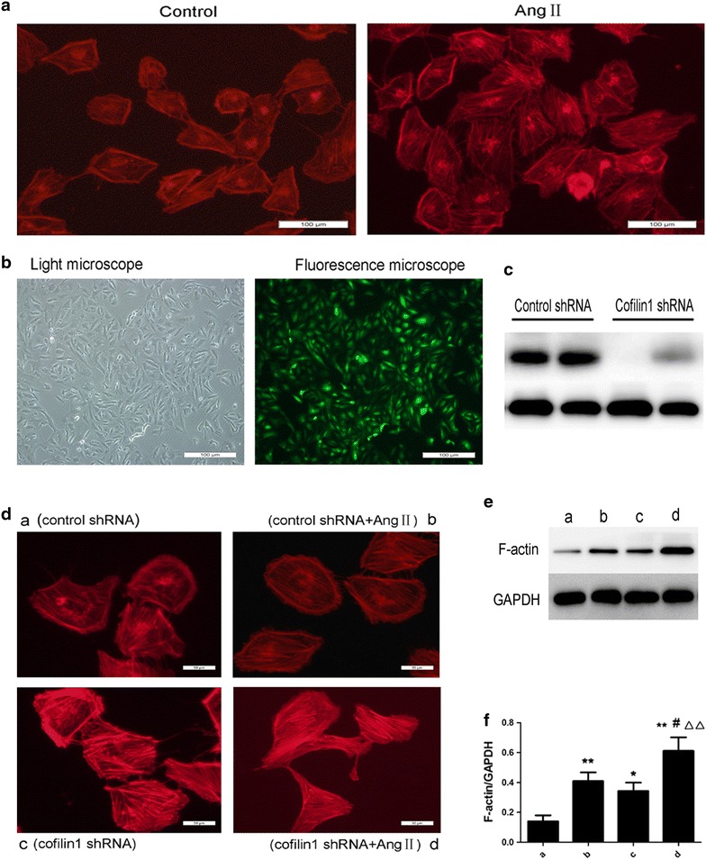 Fig. 4