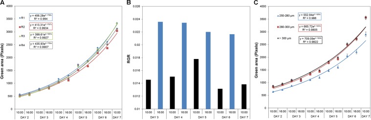 FIGURE 4