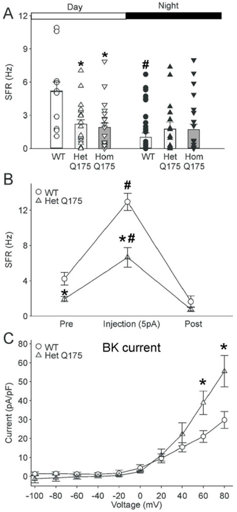 Fig. 6: