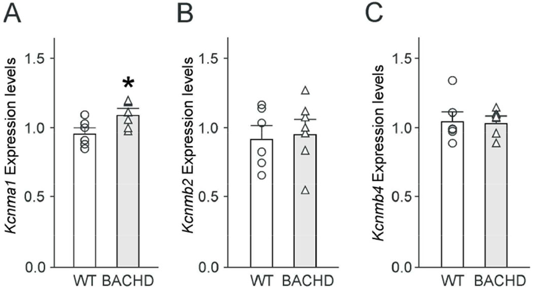 Fig. 5: