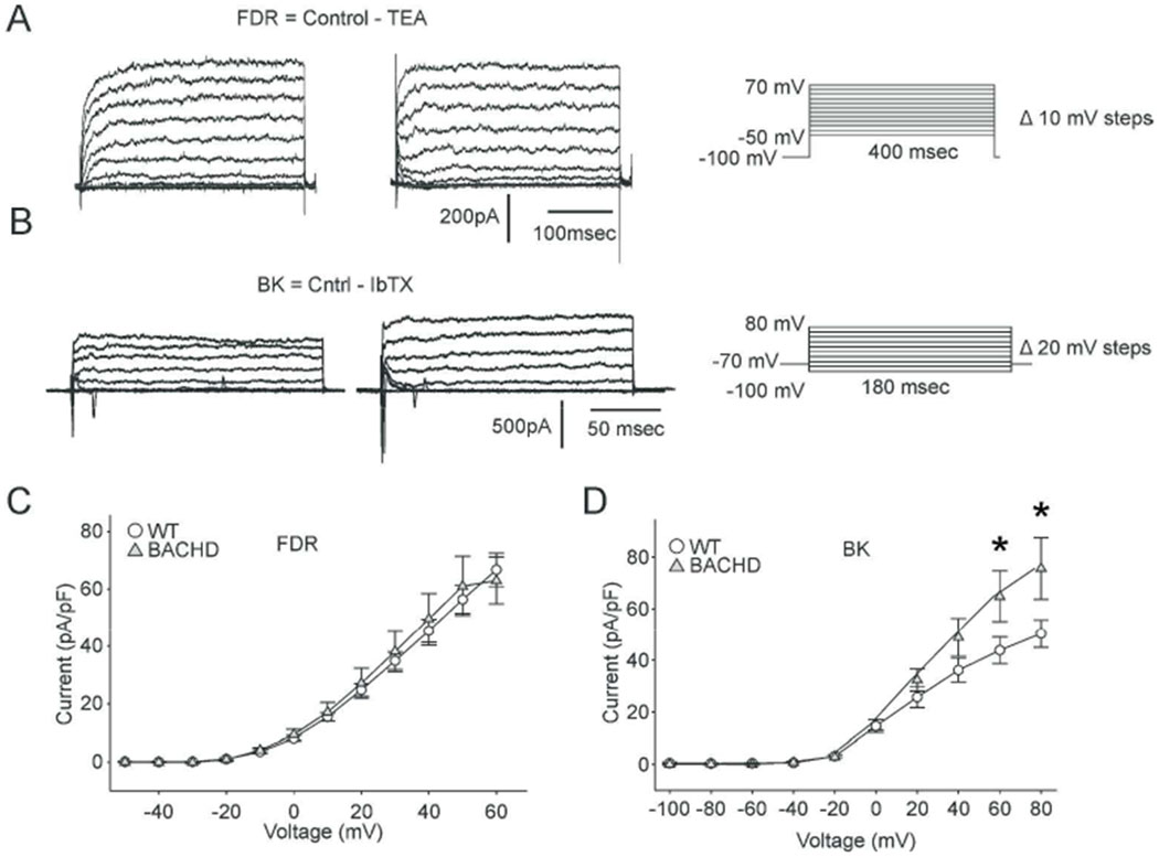 Fig. 4: