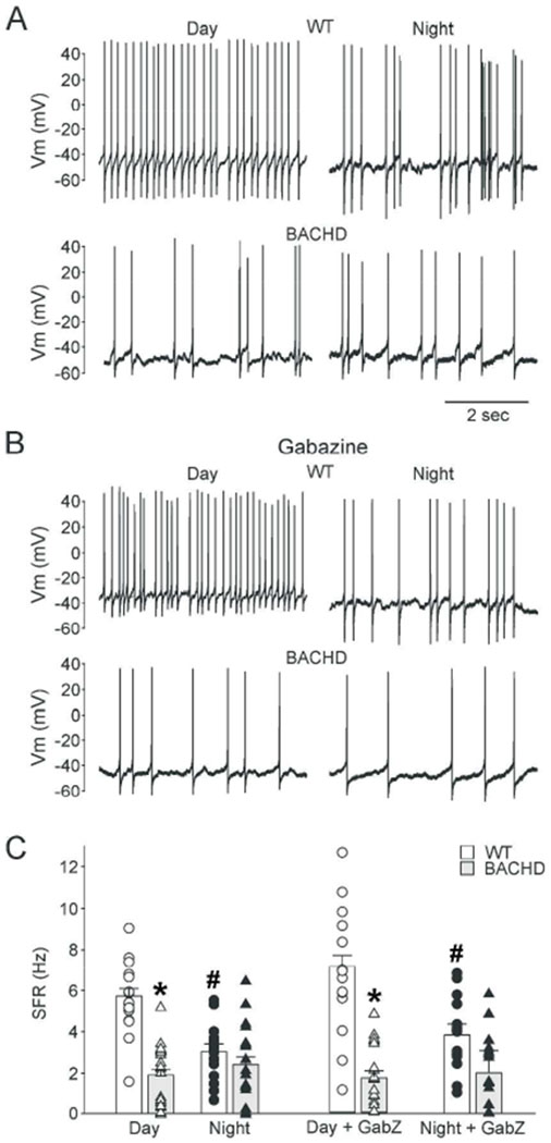 Fig. 1: