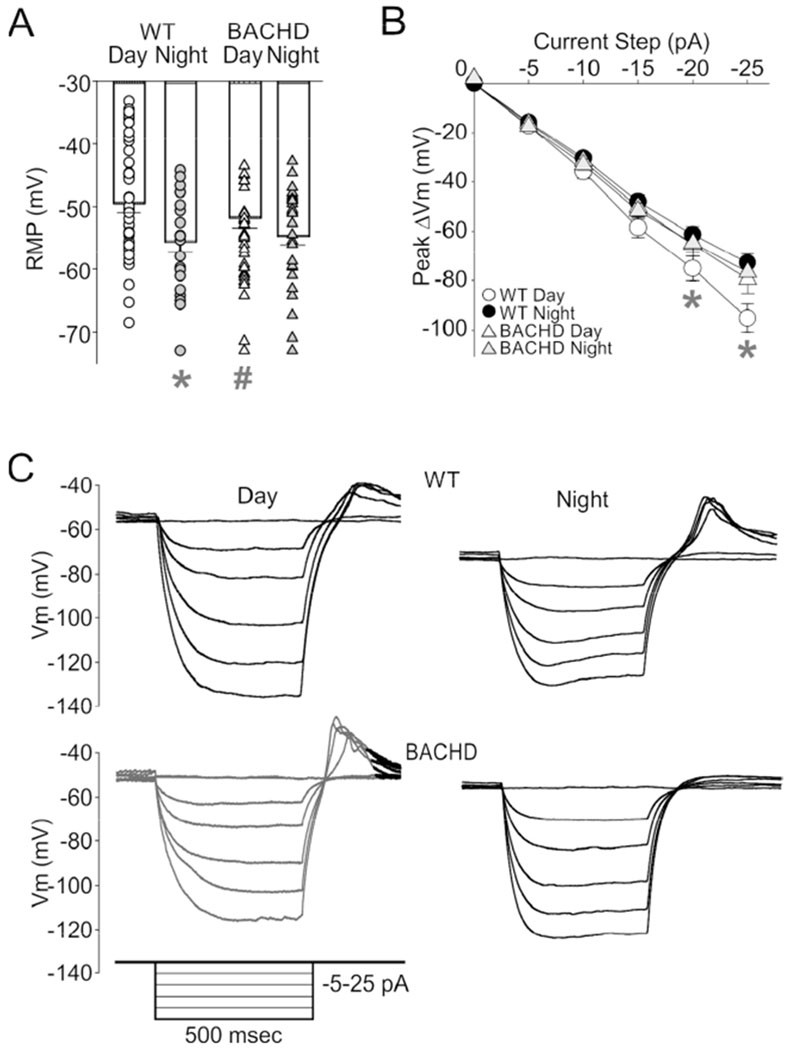 Fig. 2: