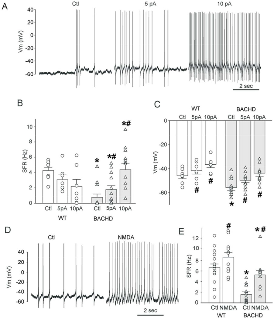 Fig. 3: