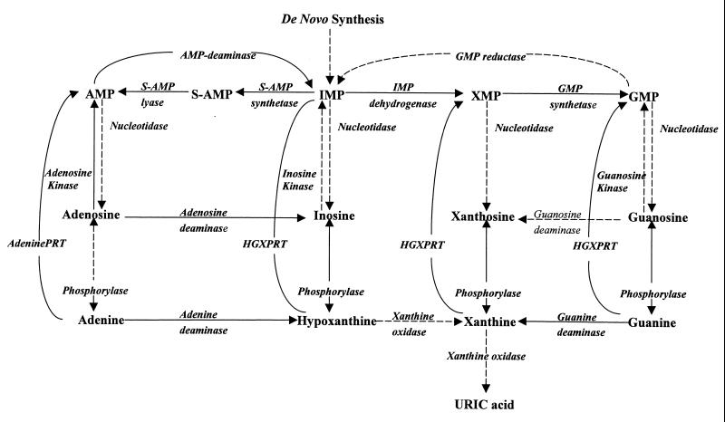 FIG. 1