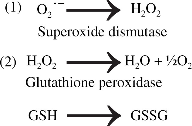 Fig 1.