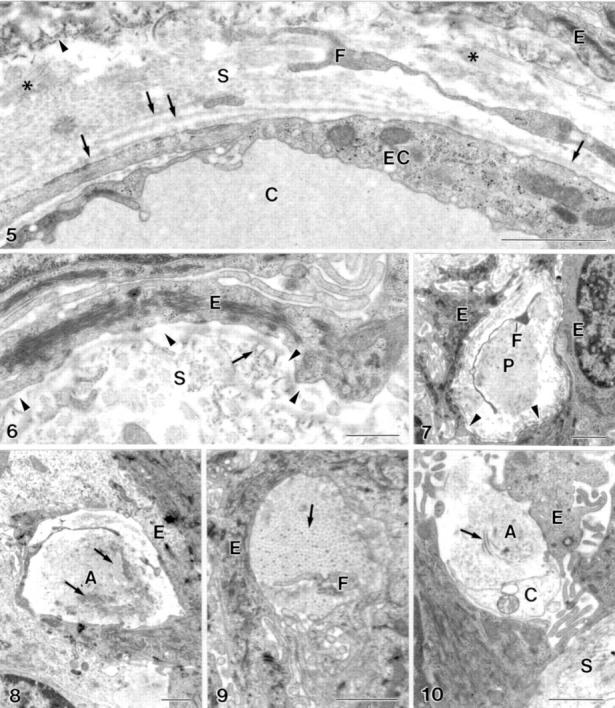 Figure 2  