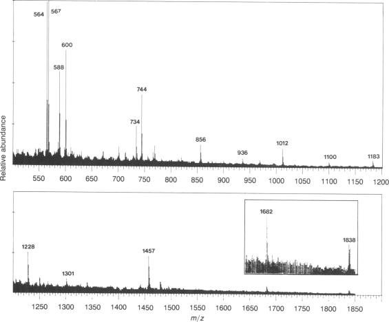 graphic file with name pnas00608-0034-a.jpg