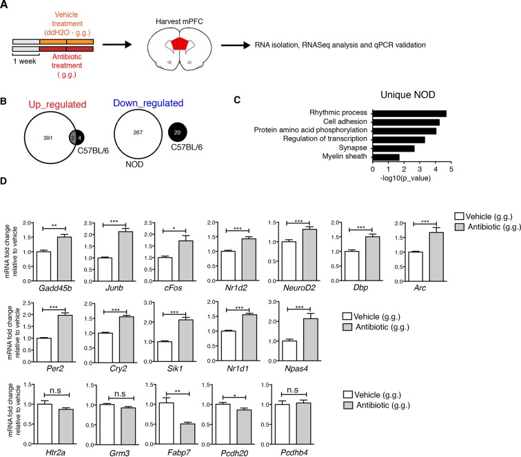 Figure 4—figure supplement 2.