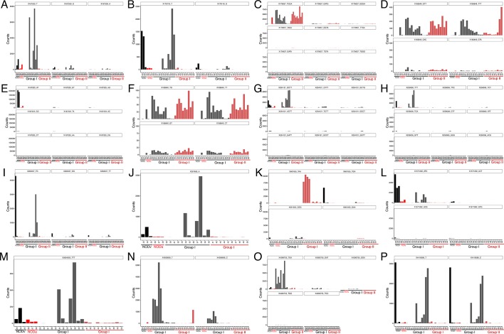 Figure 6—figure supplement 3.