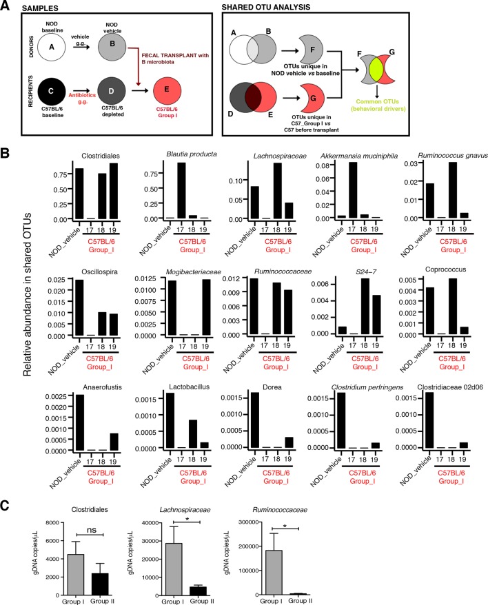 Figure 6—figure supplement 2.