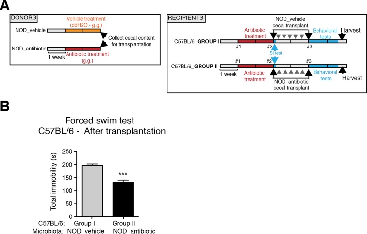 Figure 5—figure supplement 1.