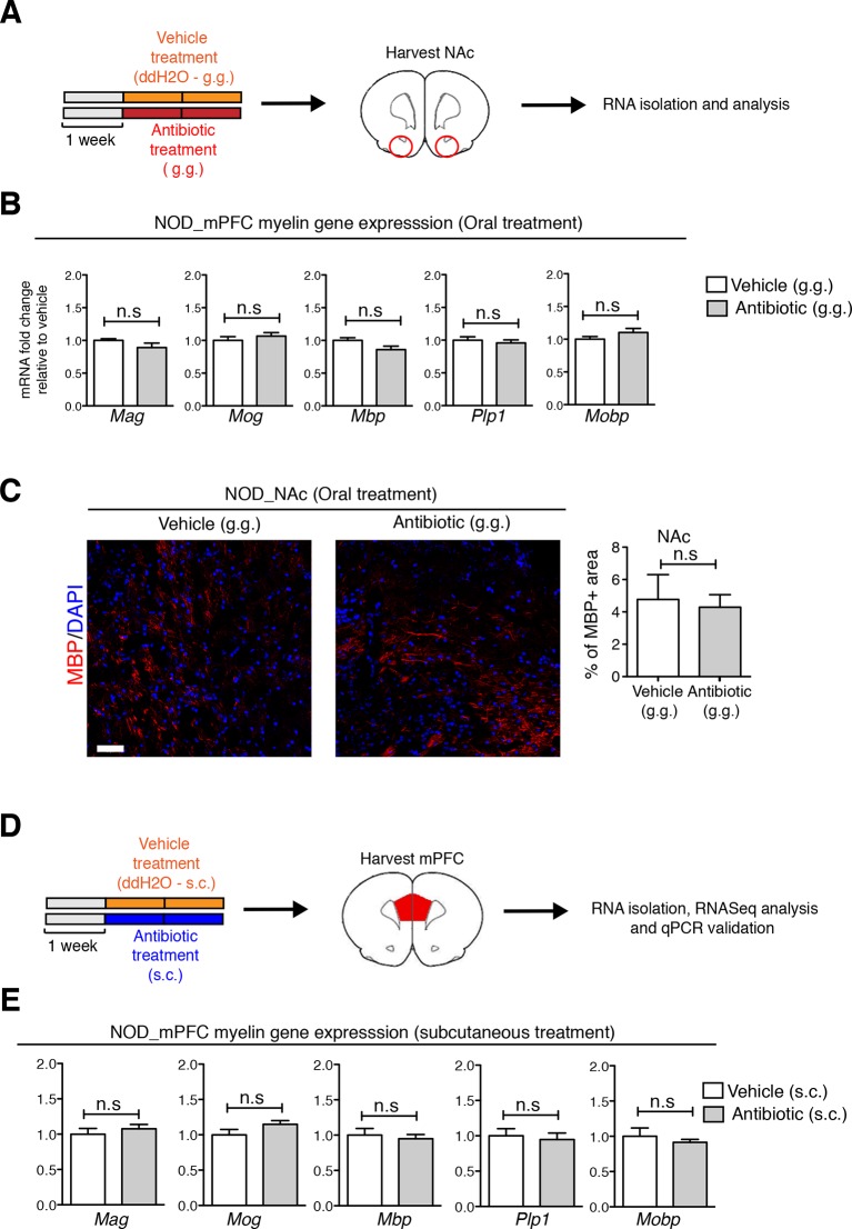 Figure 4—figure supplement 1.