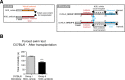 Figure 5—figure supplement 1.