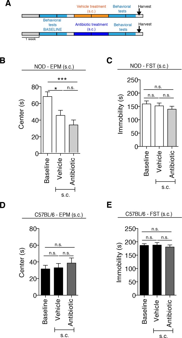 Figure 2—figure supplement 1.