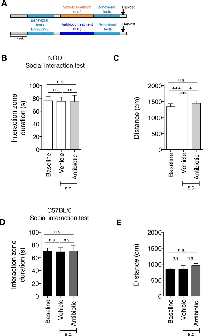 Figure 1—figure supplement 1.