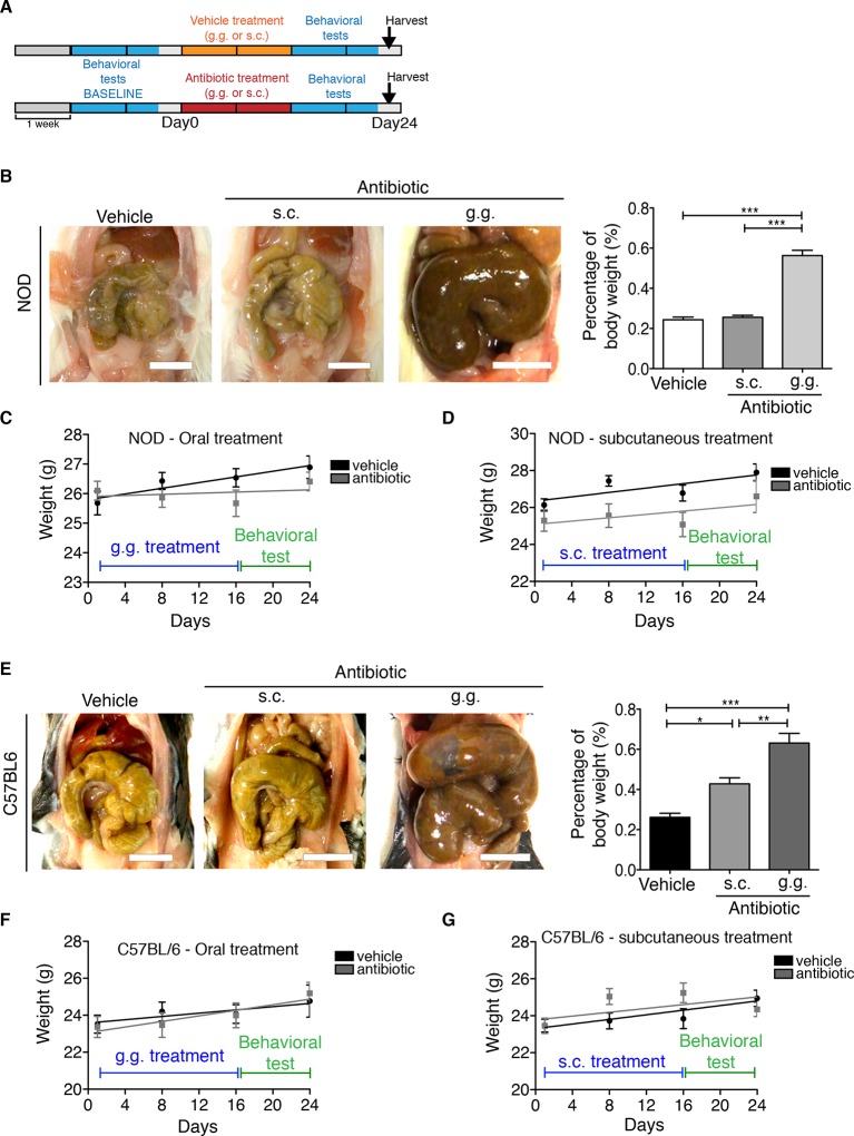 Figure 1—figure supplement 2.