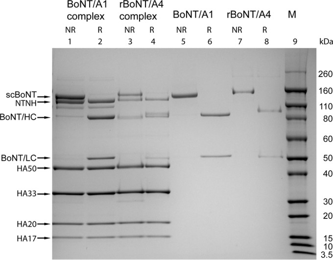 FIG 3