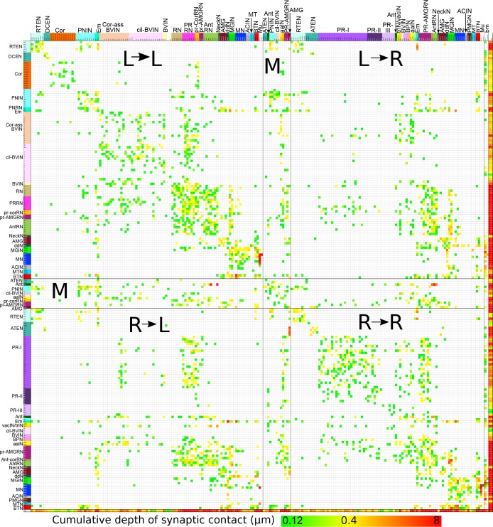 Figure 16—figure supplement 1.