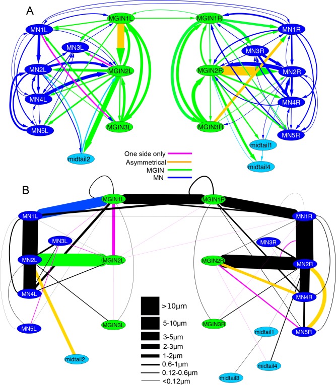 Figure 14.