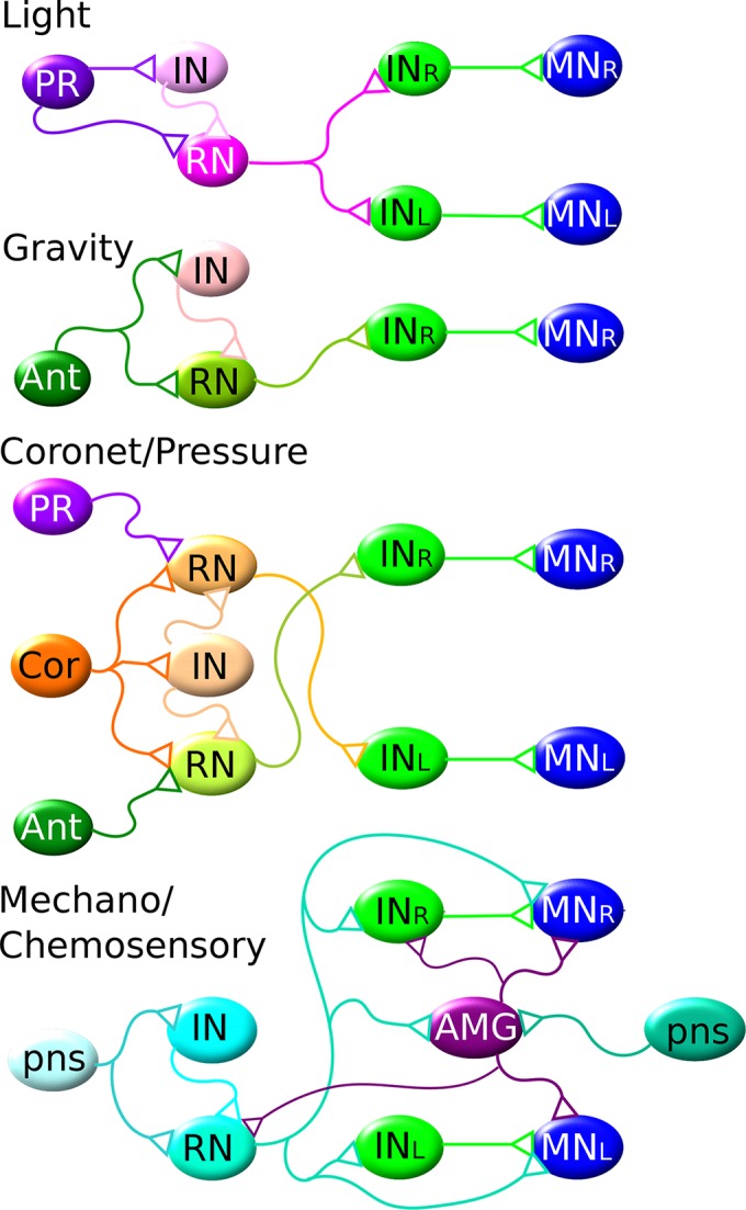 Figure 11.