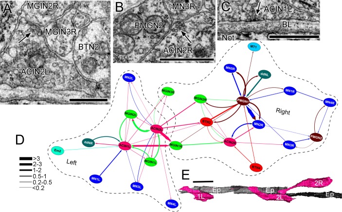 Figure 15.