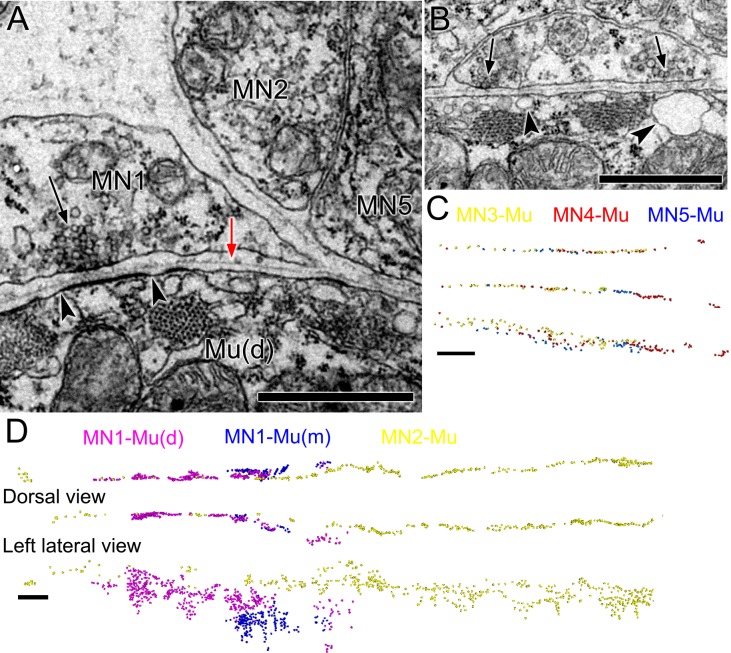 Figure 12.