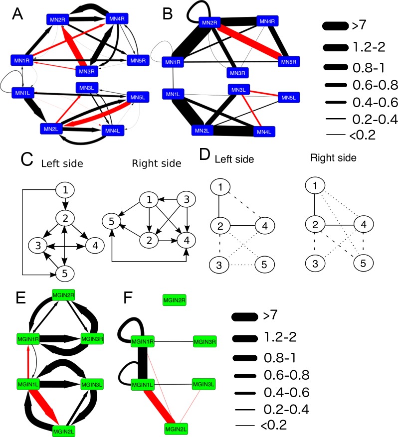 Figure 13.