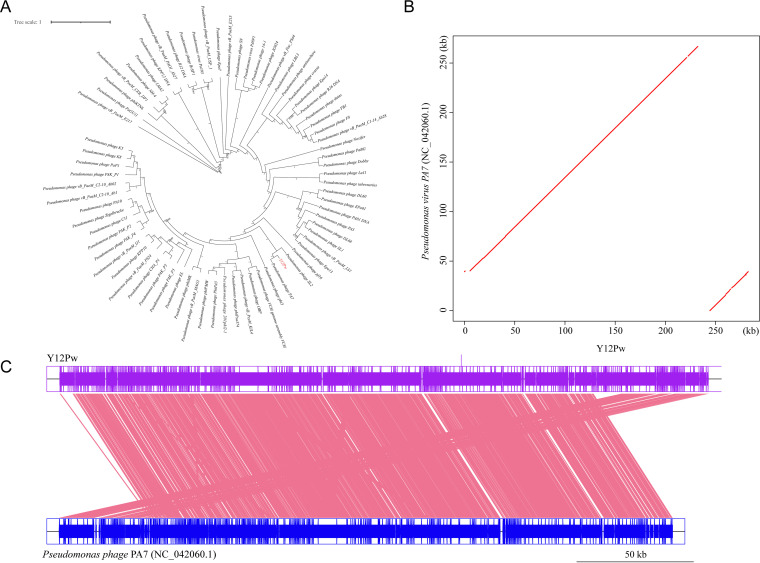 FIG 3