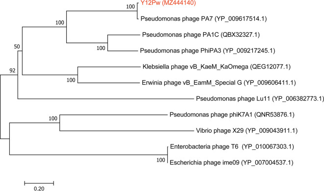 FIG 2