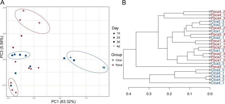 FIG 6