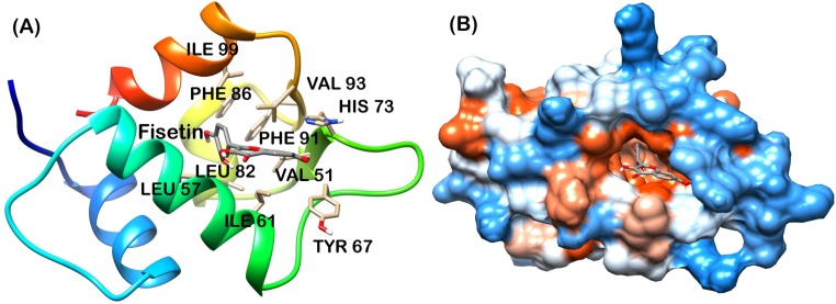 Fig 6