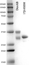 Figure 5.