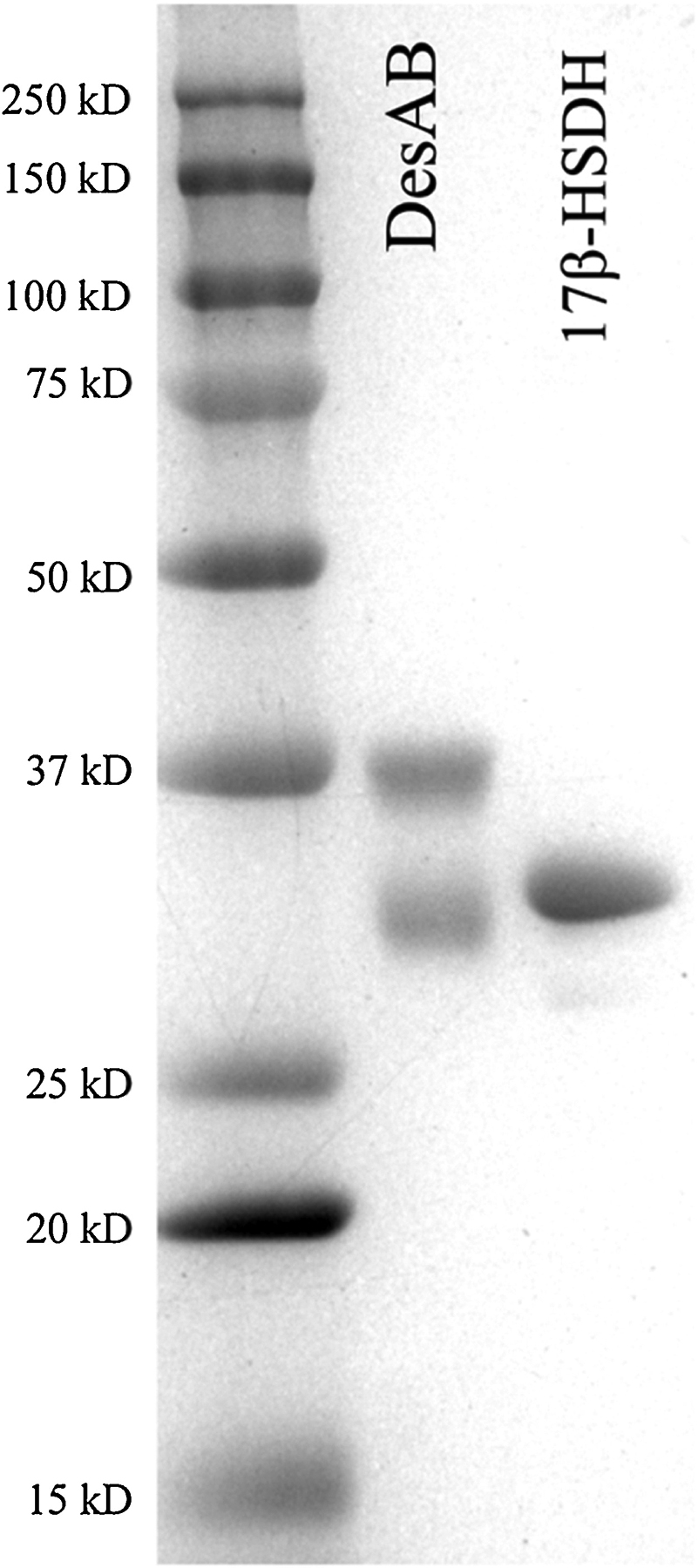 Figure 5.