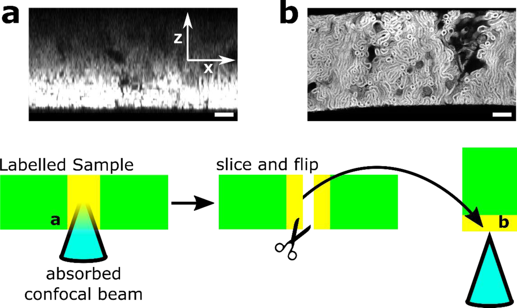 Fig. 12.