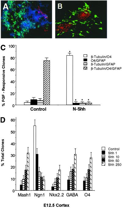 Fig 2.