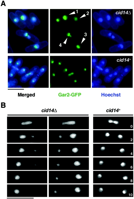 FIG. 4.