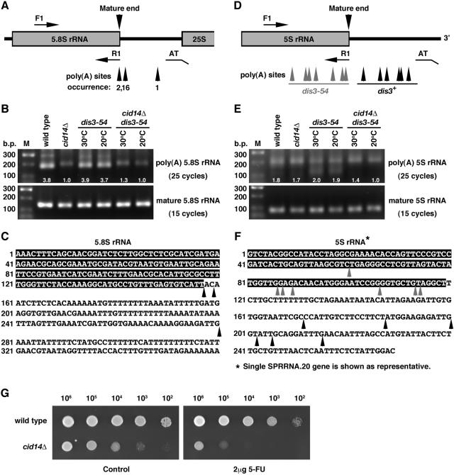 FIG. 6.