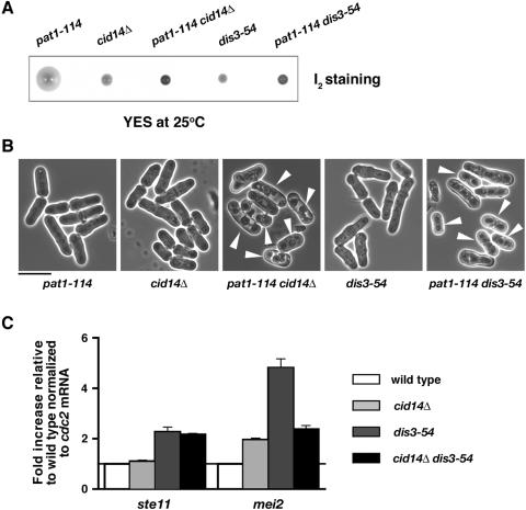 FIG. 7.